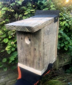 completed birdbox
