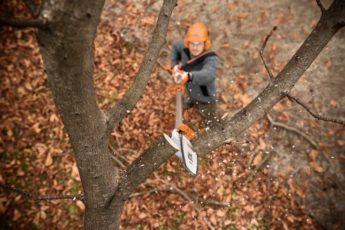 STIHL pole pruner