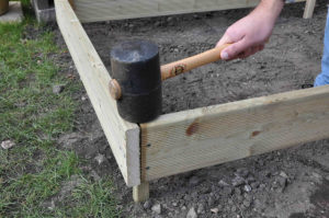 position your raised beds and tao down using a rubber mallet