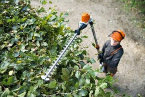 STIHL HLA 86 Cordless Long Reach Hedge Trimmer