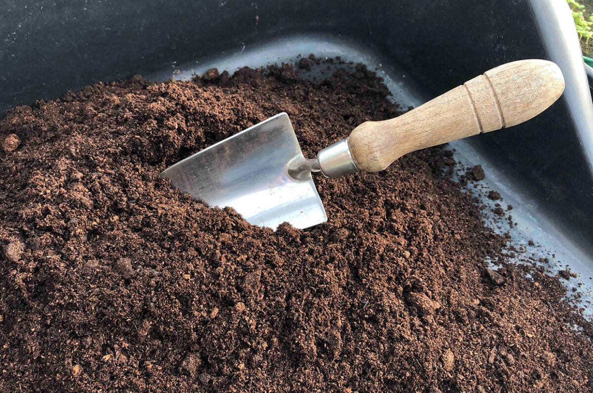 Peat Free Compost