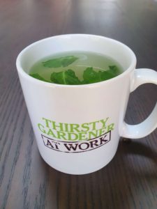 mint tea in a mug