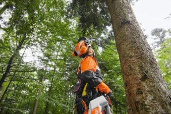 The STIHL ADVANCED X-CLIMB helmet for arborists working in trees