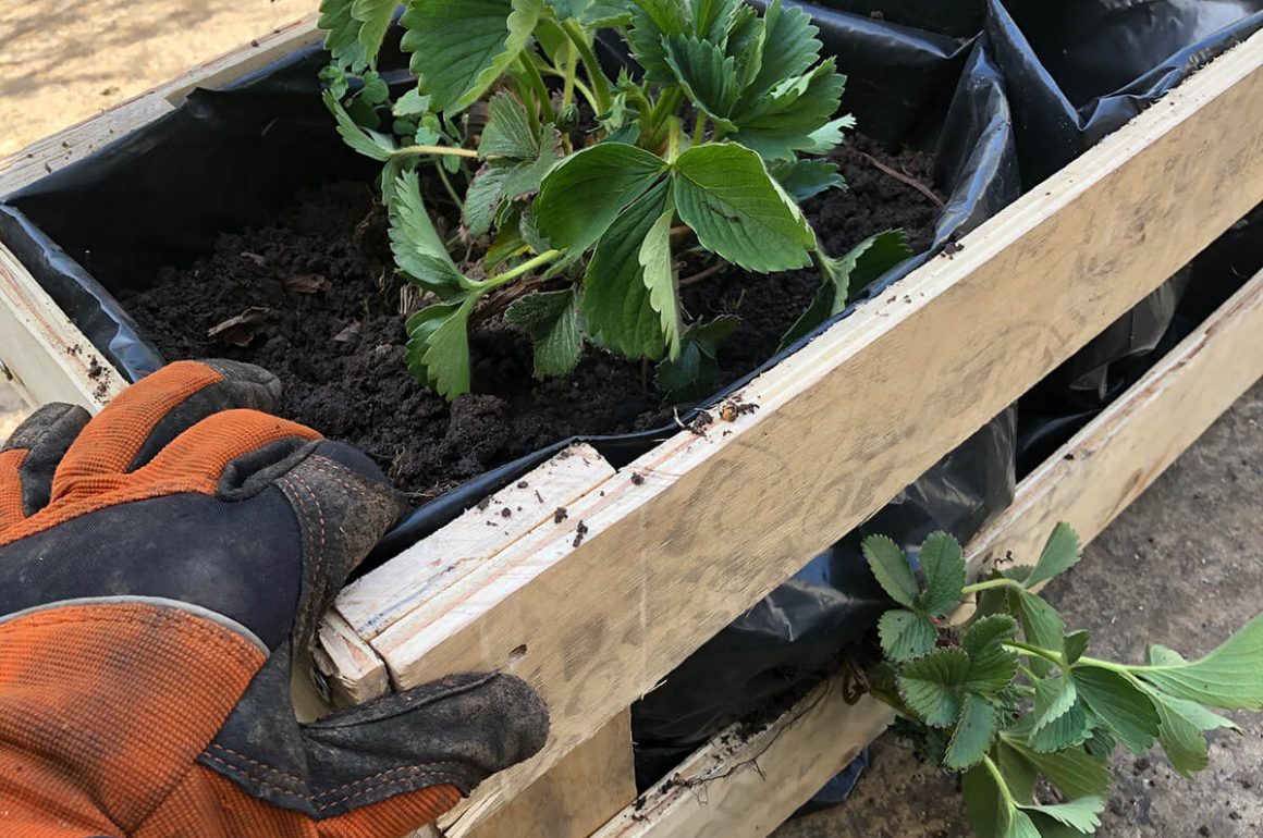 make your own pallet planter box