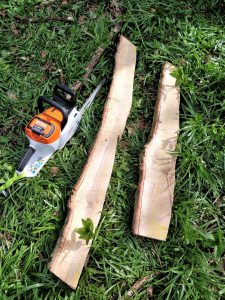 STIHL battery powered chainsaw used to cut bat roosts