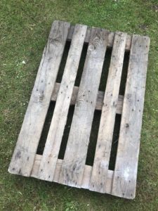 recycled pallet