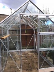 clean your greenhouse to clean out pests