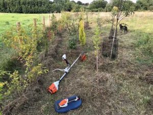 STIHL FSA 90 brushcutter and HSA 26 is used to plant trees