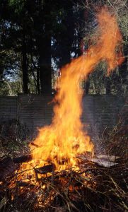 reduce the pollution from your bonfire 