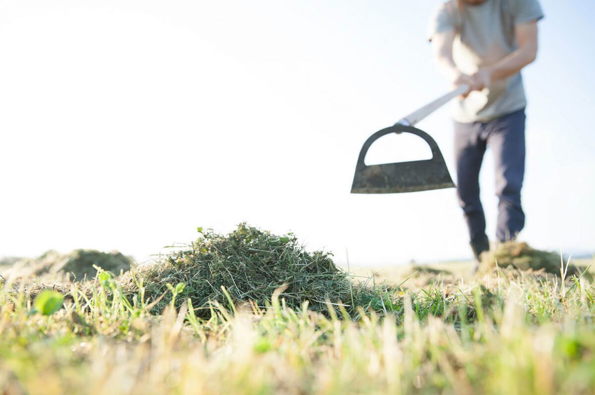 Use of deals hoe in gardening