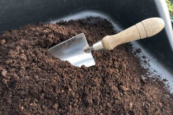 Choosing the right compost