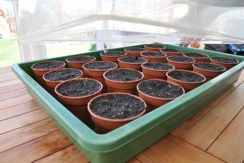 build your own propagator