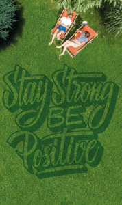 Stay Strong Be Positive lawn design