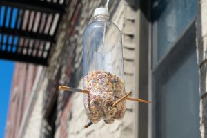 recycled plastic bottle bird feeder