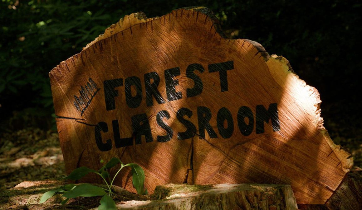 outdoor forest classroom