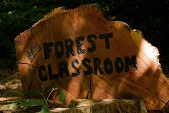 outdoor forest classroom