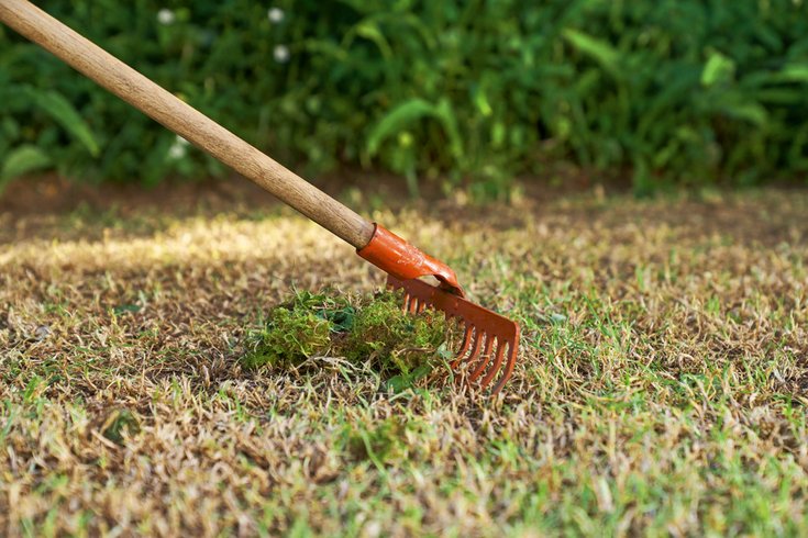 How to Help Protect Your Lawn From Drought | STIHL Blog