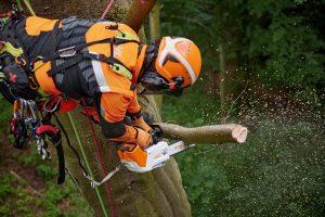 MSA 220 cordless chainsaw is perfect for arborists 