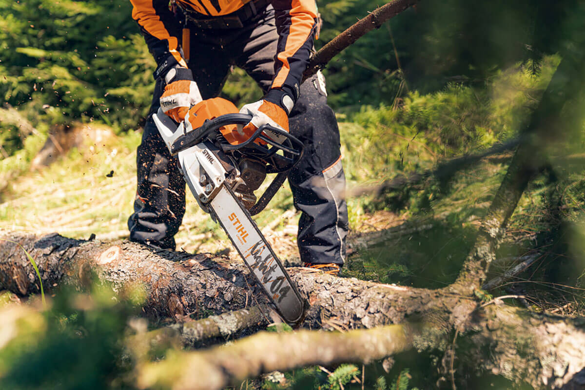 Best Accessories for Arborists and Forestry Professionals | STIHL Blog