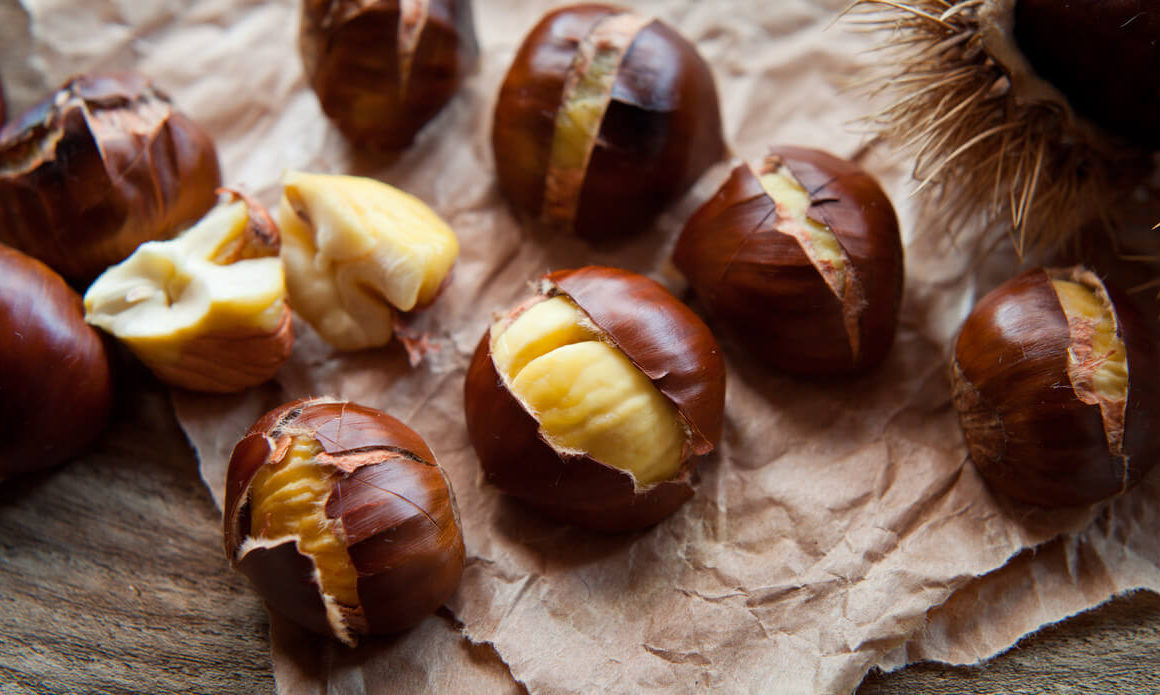 horse chestnuts poisonous