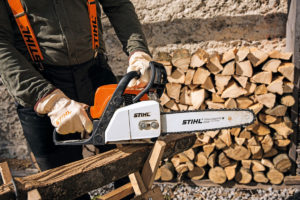 STIHL MS 170 chainsaw and chainsaw guide bar for carving wod