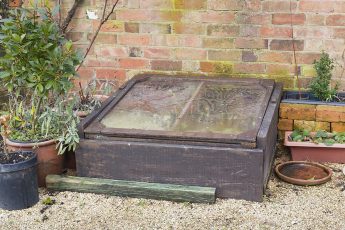 cold frames are designed to help keep plants protected from frost