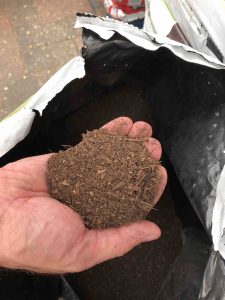 peat free compost in a hand
