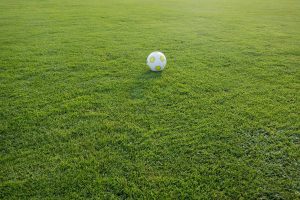 the perfect lawn with a football on it 